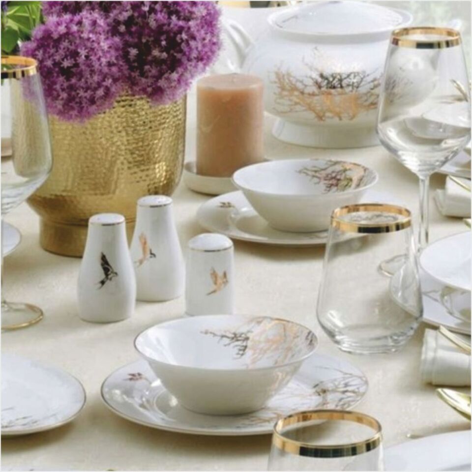 PIERRE CARDIN PETRINA 60 PCS YEMEK TAKIMI