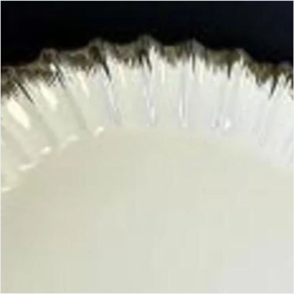 REKABET GBS 011 LINE SILVER OVAL SUNUM TABAK 39*27