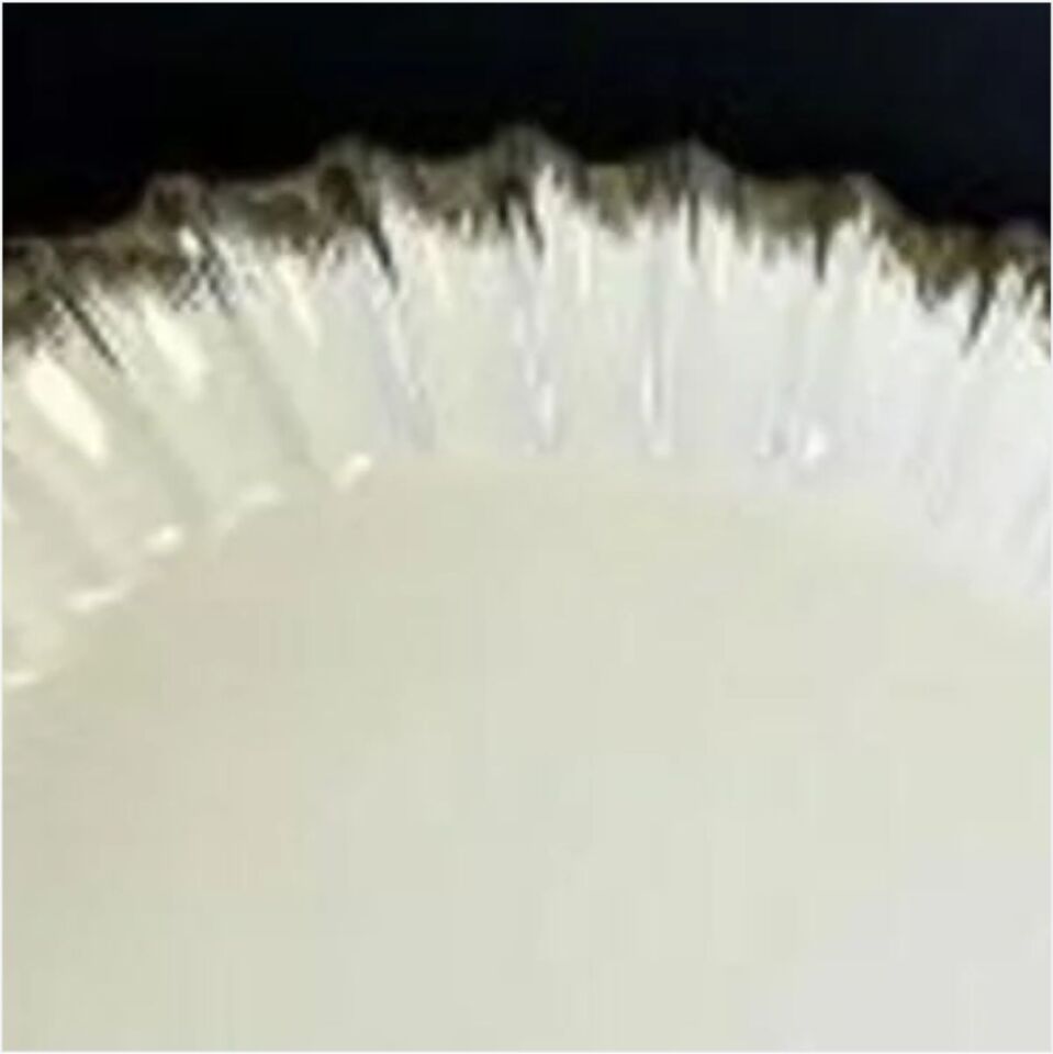 REKABET GBS 011 LINE SILVER OVAL SUNUM TABAK 39*27