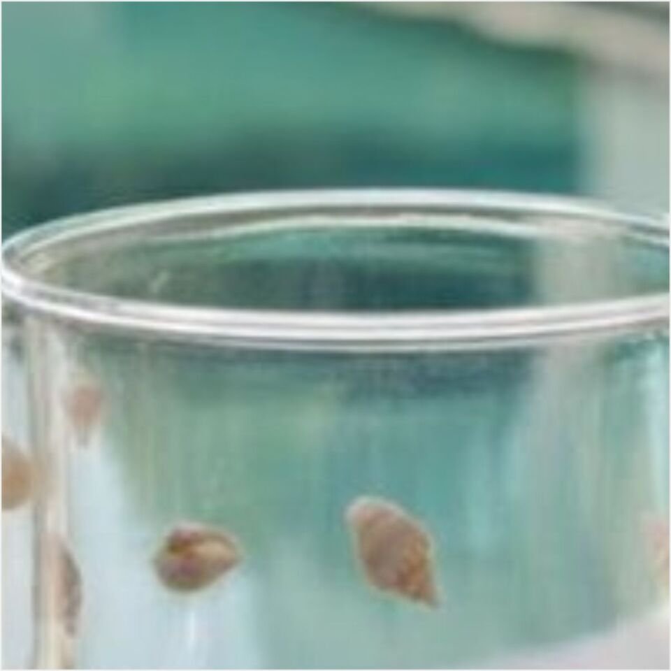 Bambum Olbia - Çift Cidarlı Bardak 300Ml