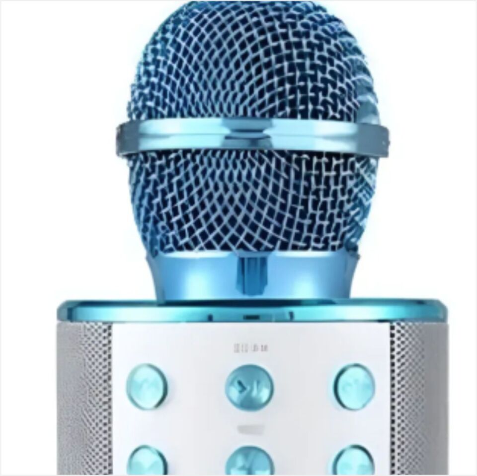 Blueteam Fk12 Karaoke Mikrofon Speaker-St02013