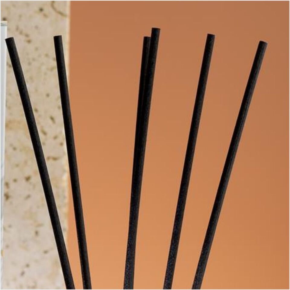 SCHAFER HOME MİRANO TONGA 110 ML ODA KOKUSU 1 PARÇA