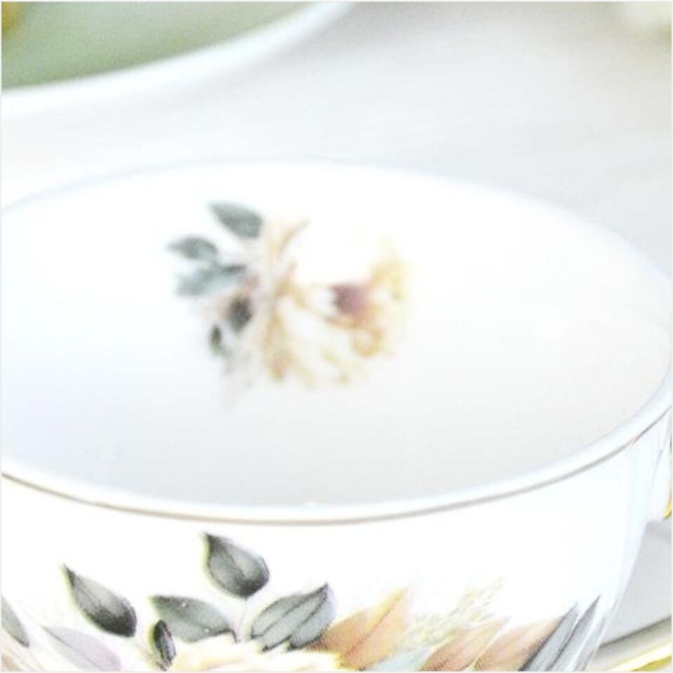 Şener  P/Por-101759Paçi-Botania Çiçekli Yaldızlı Kahve Fincan