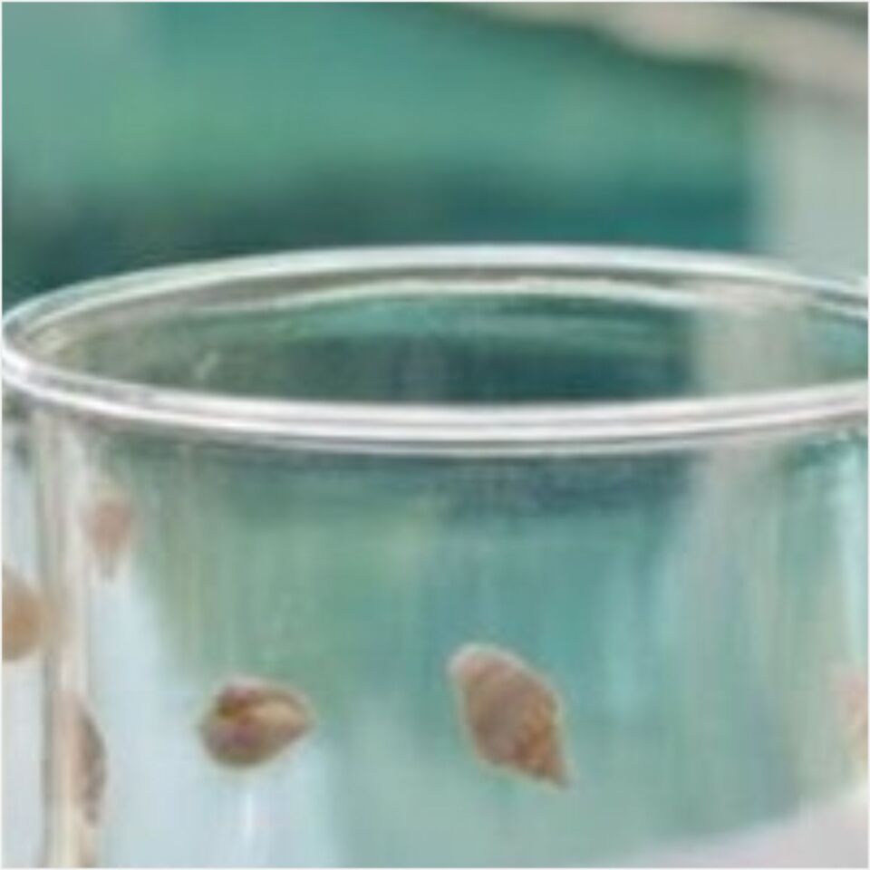 Bambum Olbia - Çift Cidarlı Bardak 300Ml