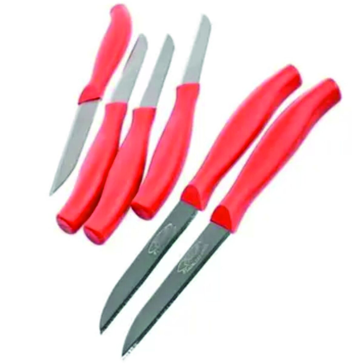 Cooker 6 Lı Meyve Bıçağı Gs017-6