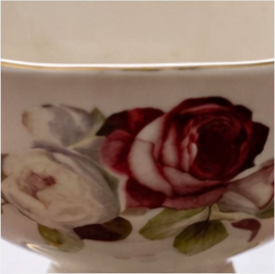 REKABET GNJ 036 ROSE 6'LI DONDURMALIK