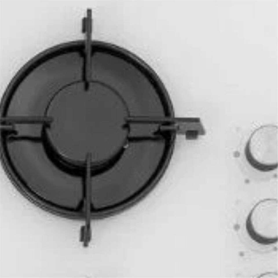 Sılverlıne Cs5349W01 Ocak