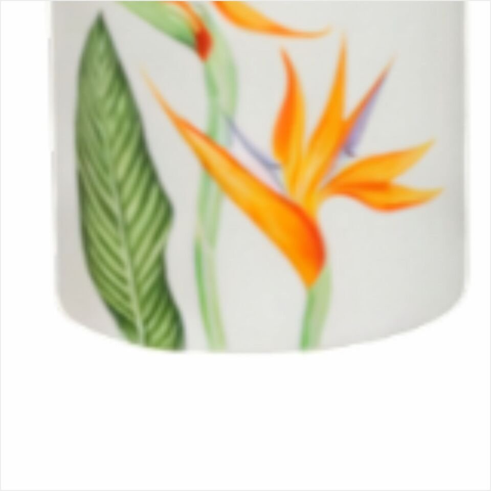 SEMBOL PUREBONE-047 AMAZON 7Lİ STANDLI BAHARATLIK