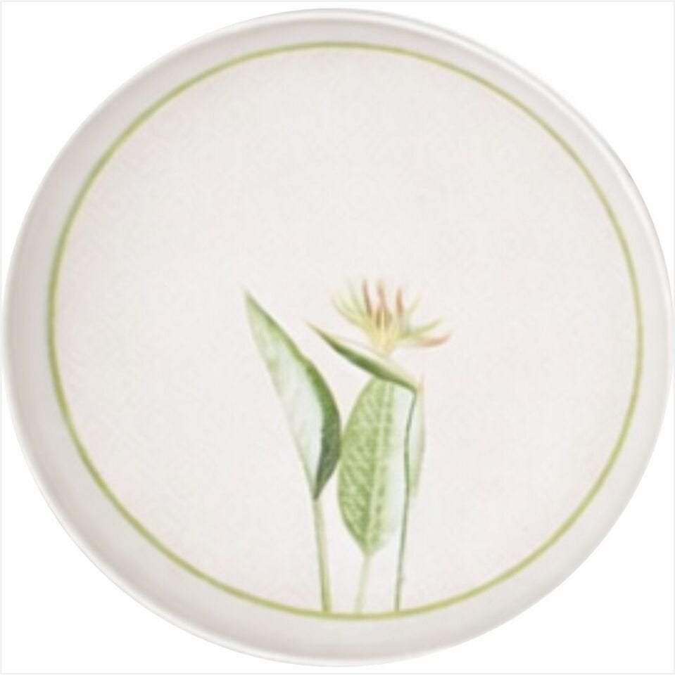 SCHAFER DOLCE YEMEK TAKIMI 24 PARÇA-YEŞİL02