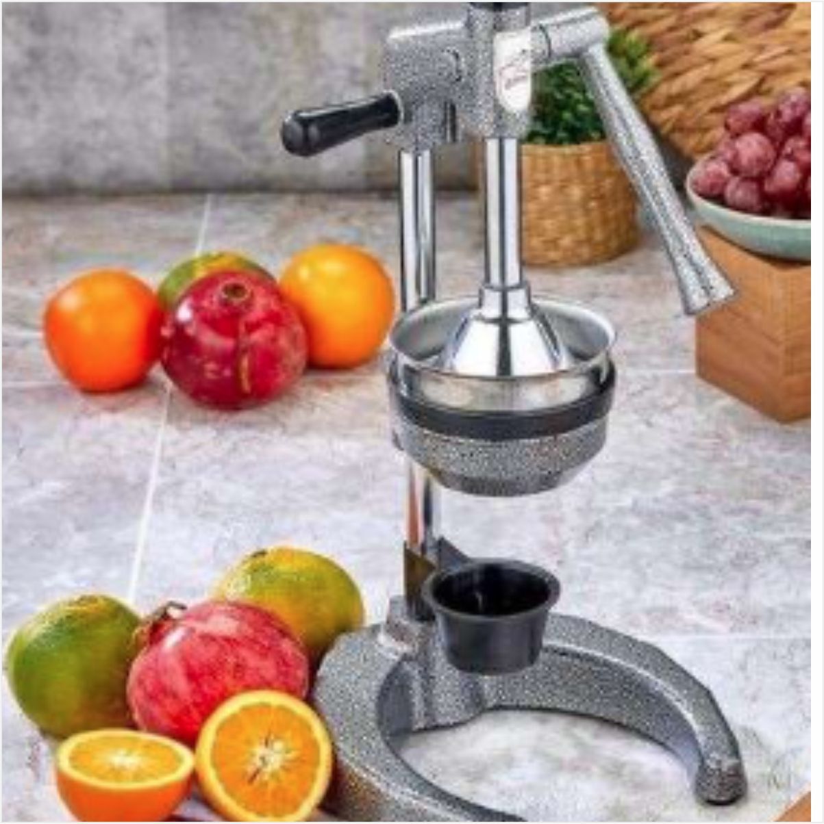 Cooker Sanayi Tipi Meyve Presi