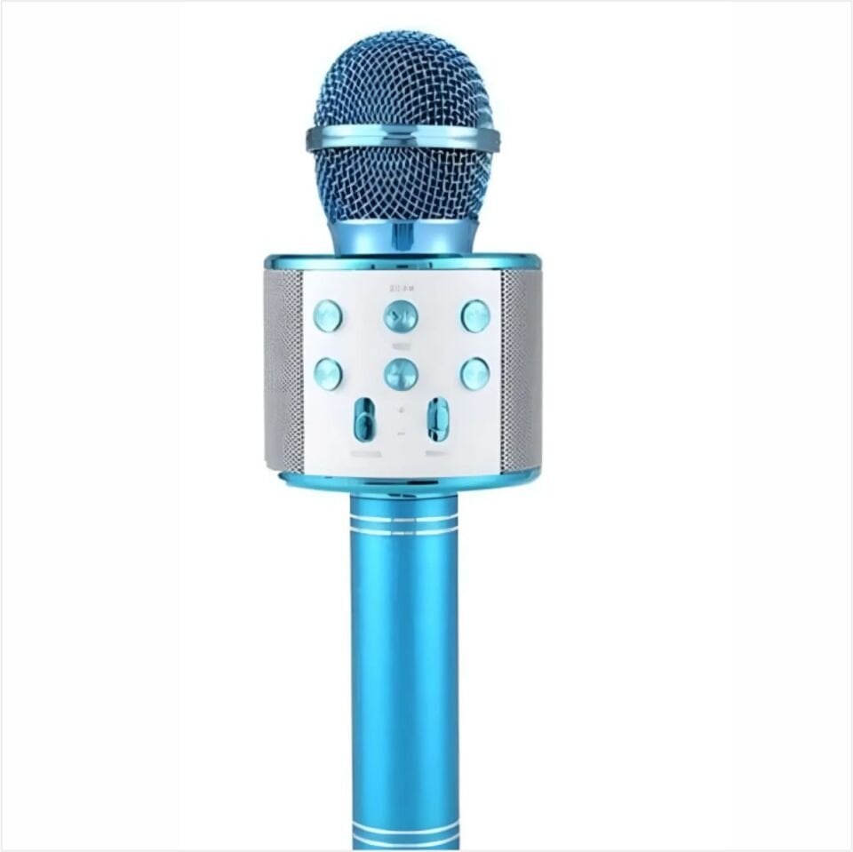 BLUETEAM FK12 KARAOKE MİKROFON SPEAKER-ST02013