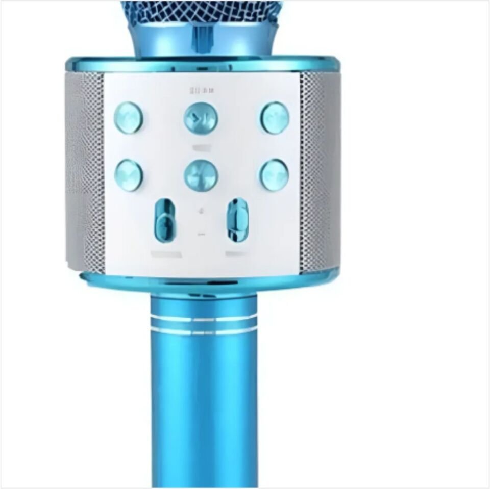 BLUETEAM FK12 KARAOKE MİKROFON SPEAKER-ST02013