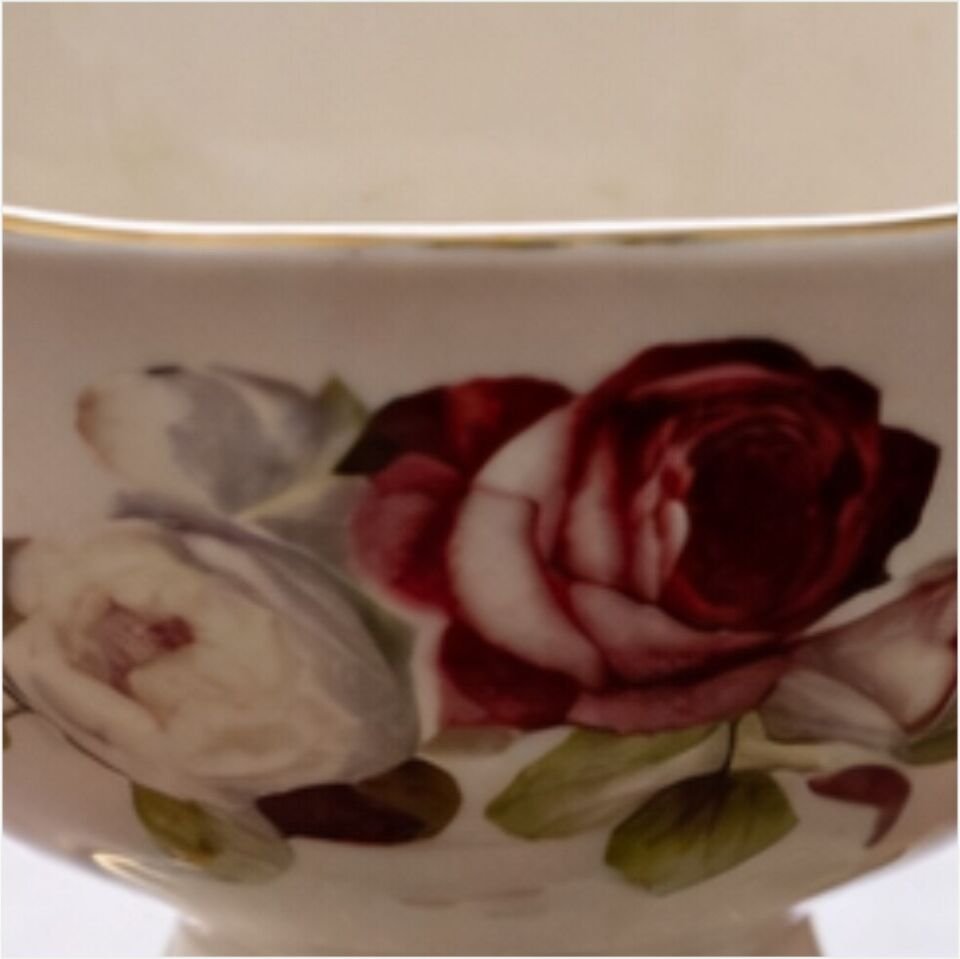 REKABET GNJ 036 ROSE 6'LI DONDURMALIK