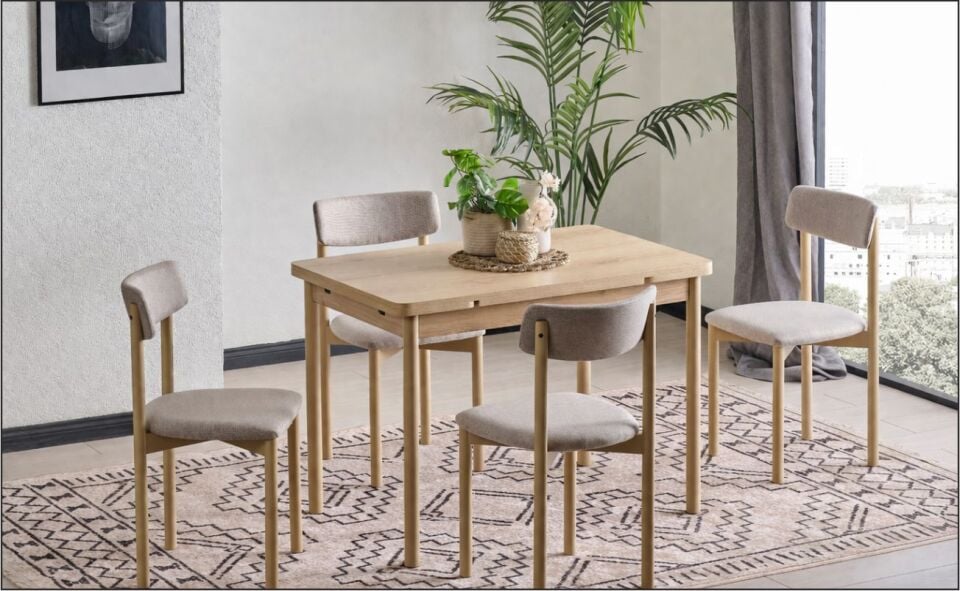EVİSSA MT-3341 69X108 MASA TAKIMI (S903 ERA SANDALYE)