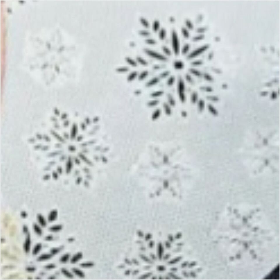 Şener P/Pla-600253 Pacı Plastık Amerıkan Servis