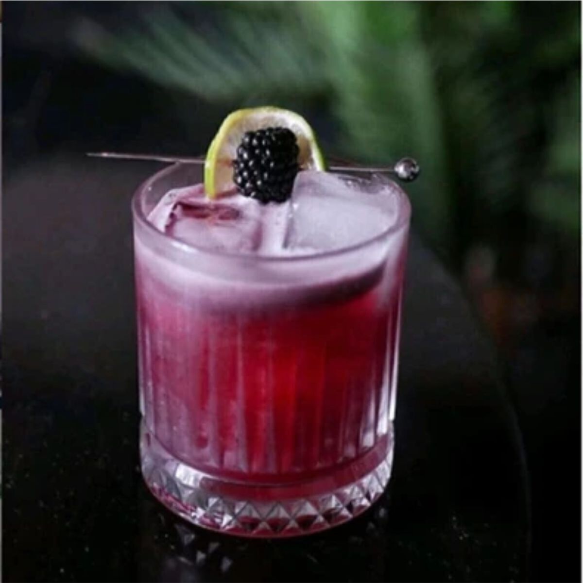 Özben 520004- Elysıa Vıskı 355 Cc.(4*6)